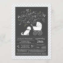 Cavalier King Charles Spaniel Dog Baby Shower