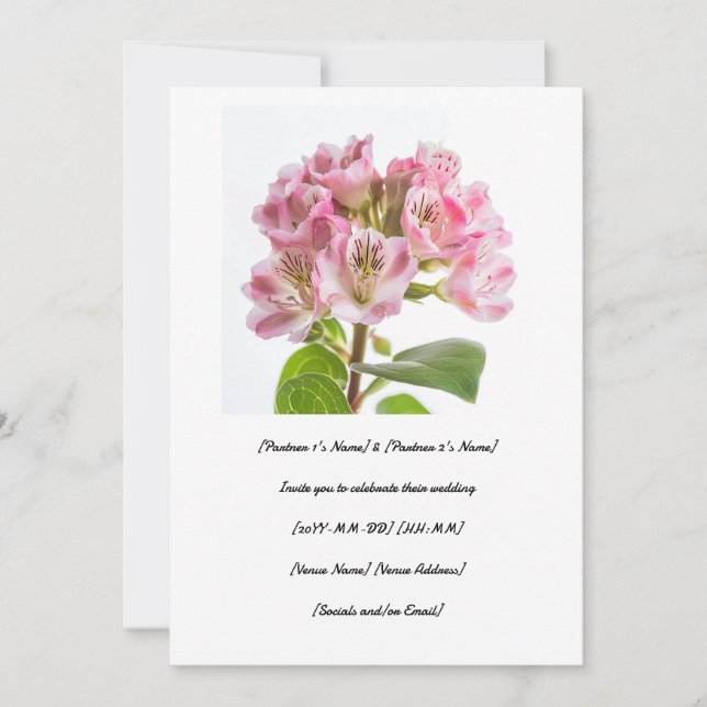 Invitación Celebra tu día especial con una buena calimia (Anverso)