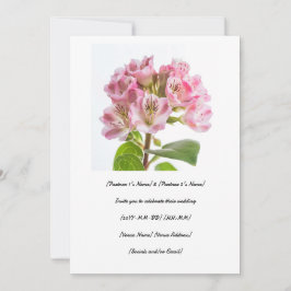 Invitación Celebra tu día especial con una buena calimia