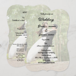 Invitación Celebración de la fiesta de novias