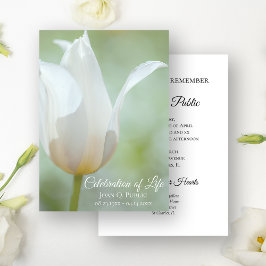 Invitación Celebración de la Primavera de los Tulipanes Blanc