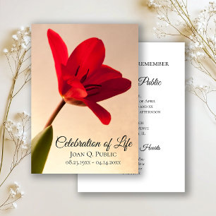 Invitación Celebración de la Primavera Tulipana Roja del fune