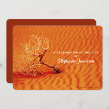 Celebración de la vida, árbol solitario en una are