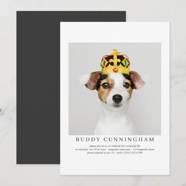 Invitación Celebración de la vida simple Mascota elegante fot (Anverso / Reverso)