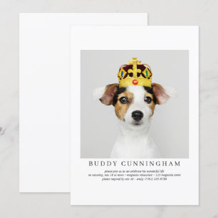 Invitación Celebración de la vida simple Mascota elegante fot