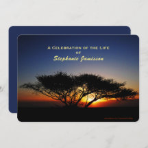 Celebración de la vida, solitario árbol de acacia
