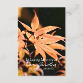 Invitación Celebración del árbol de arce 2 de la ceremonia