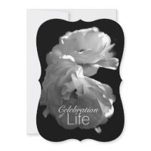 Celebración del servicio conmemorativo Life 3 Whit