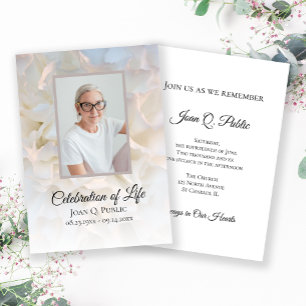 Invitación Celebración floral de la Carnación blanca del fune