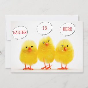 INVITACIÓN "CELEBRACIÓN MÁS FÁCIL CON CHICKS HABLANTE"