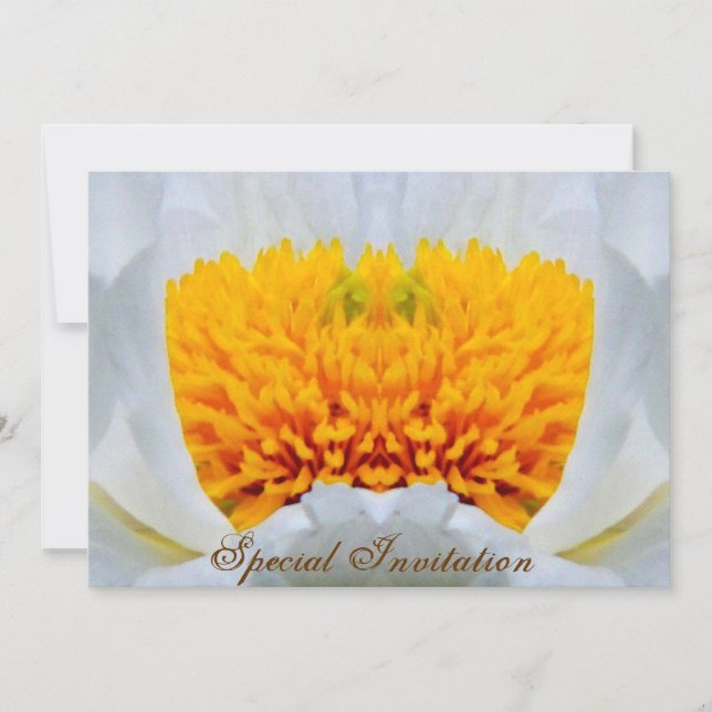Invitación Celebration_ Invitation (Anverso)