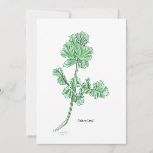 Invitación Celery Leaf