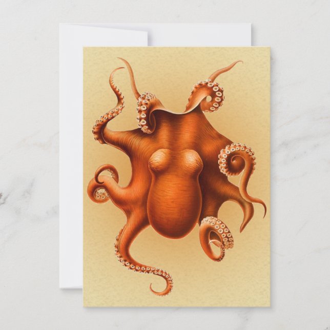 Invitación Cephalapod Vintage (Anverso)