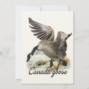 Invitación Cerdo de Canadá, arte