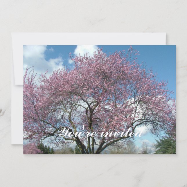 Invitación cerezo floreciendo en primavera (Anverso)