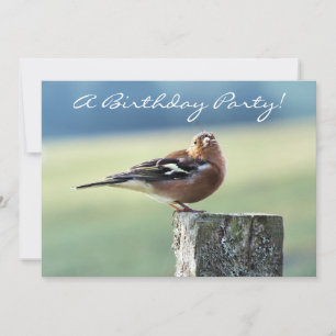 INVITACIÓN CHAFFINCH