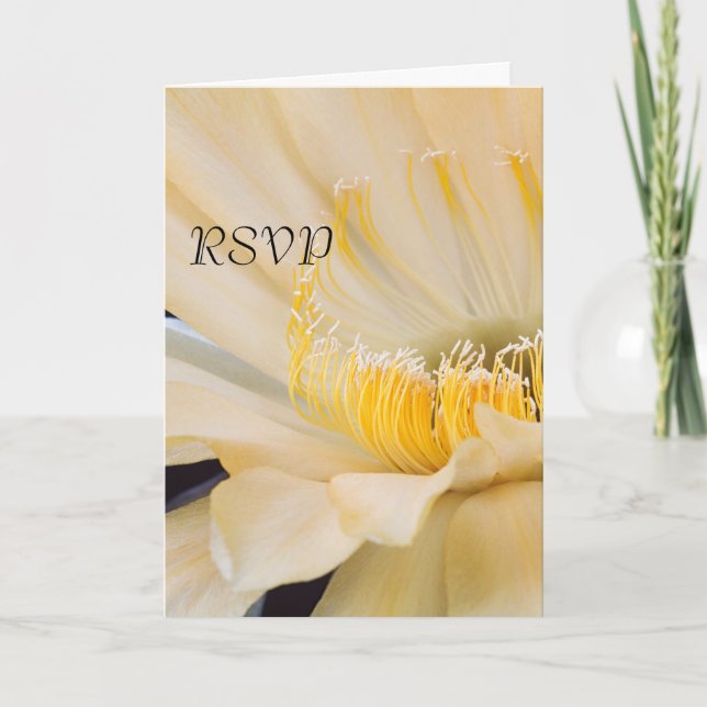 Invitación Charlemagne Echinopsis en flor RSVP (Anverso)