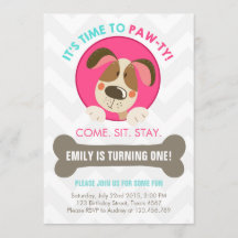 Chevron turquesa de cachorro