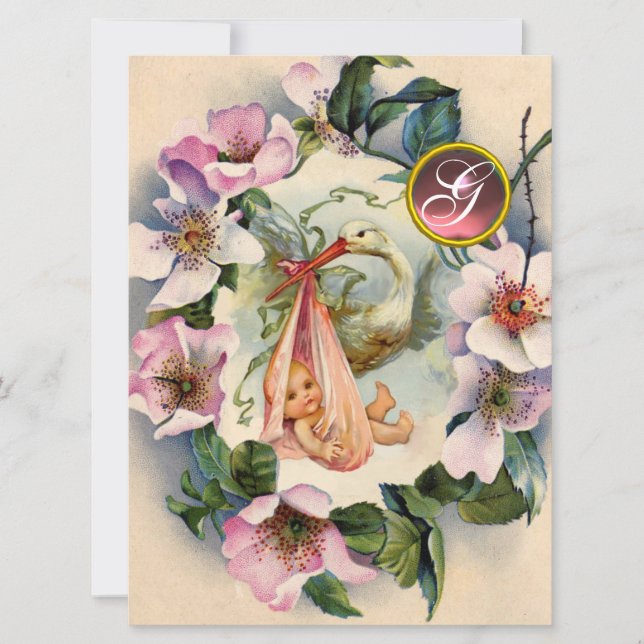 INVITACIÓN CHICA DE HISTORIAS BABY SHOWER, MONOGRAMA DE ROSAS (Anverso)