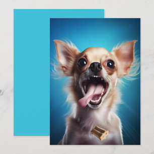 Invitación Chihuahua En Acción