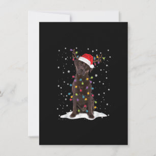 Invitación Chocolate Lab Labrador Christmas Tree Light Pajama