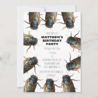 Cicada Bug, foto de insectos personalizada