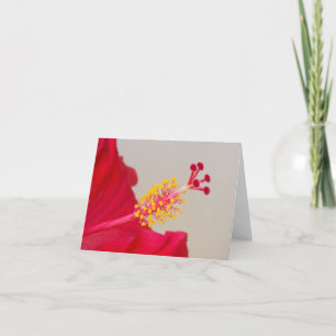 Invitación Cierre de Pistil y Stamen en el Hibiscus Rojo
