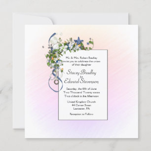 Invitación Cinta Rubor de bonito y burbujas