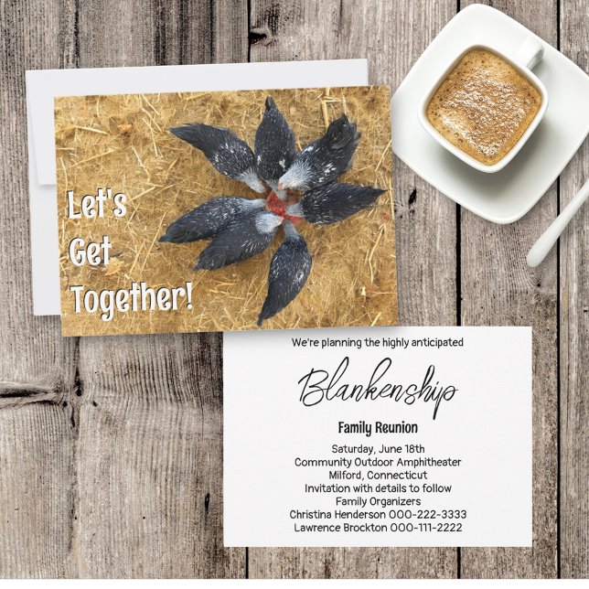 Invitación Círculo de gallinas negras y blancas comiendo sand (invitation front with envelope and invitation back with details)