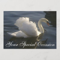 Invitación Cisne Blanco