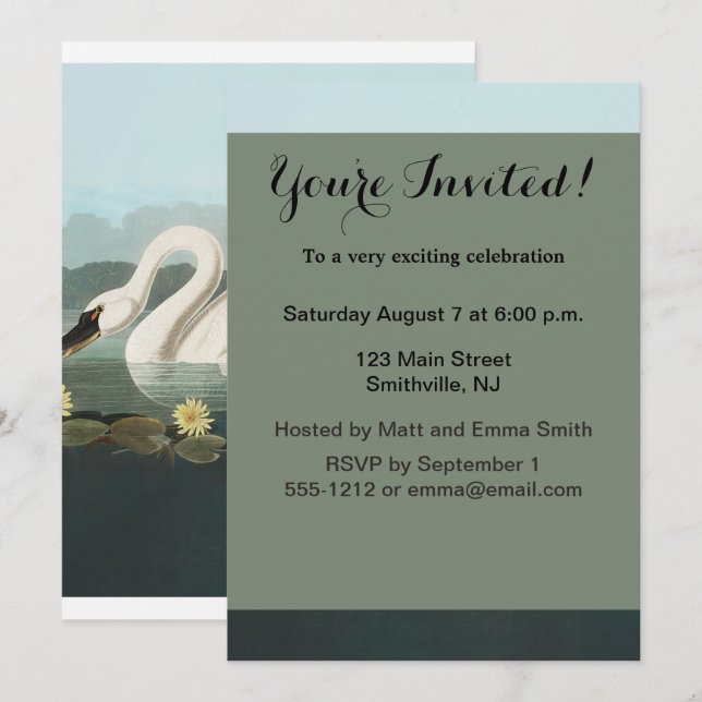 Invitación cisnes de agua blanca de cisne audubon (Anverso / Reverso)