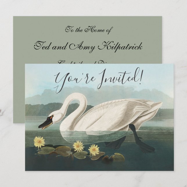 Invitación cisnes de agua blanca de cisne audubon (Anverso / Reverso)