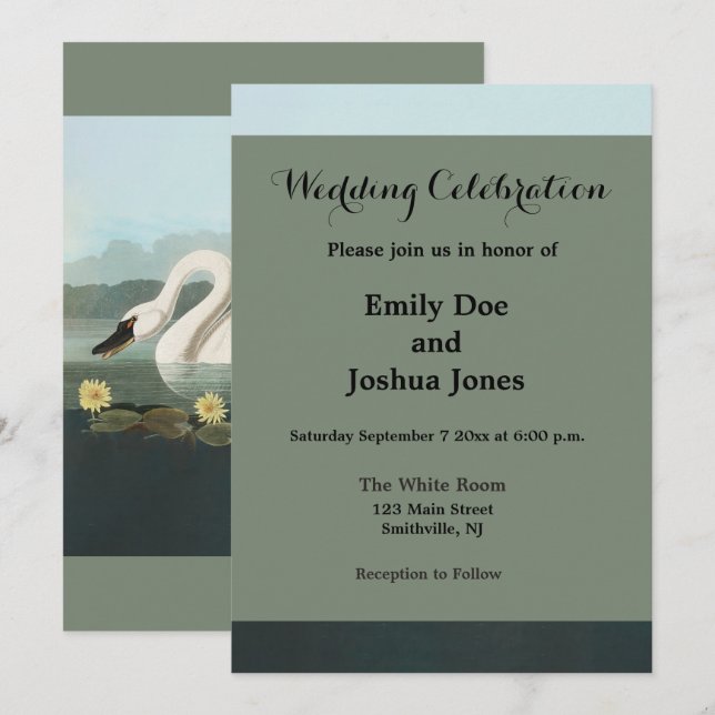Invitación cisnes de agua blanca de cisne audubon (Anverso / Reverso)