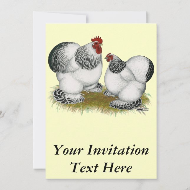 Invitación Cochins: Bantams colombianos (Anverso)