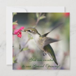 Invitación Colibrí en vuelo