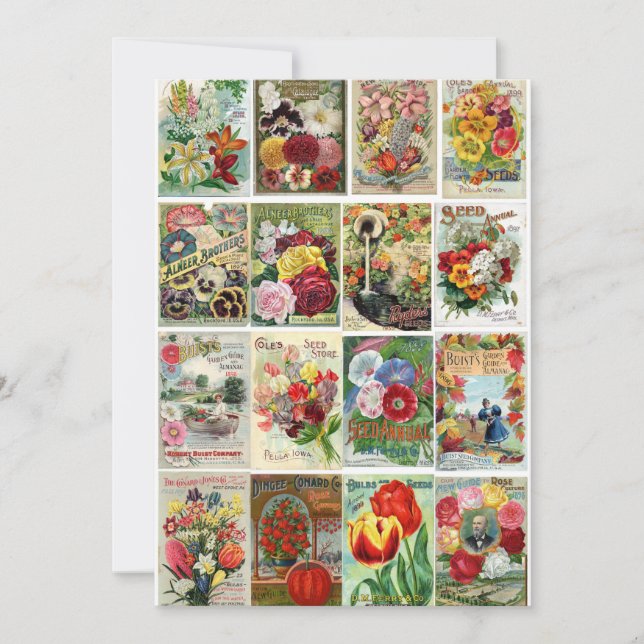Invitación Collage de los catálogos de semilla de flor del (Anverso)