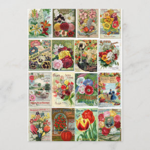 Invitación Collage de los catálogos de semilla de flor del