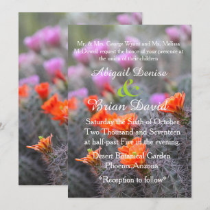 Invitación Colores del fondo de los cactus del desierto