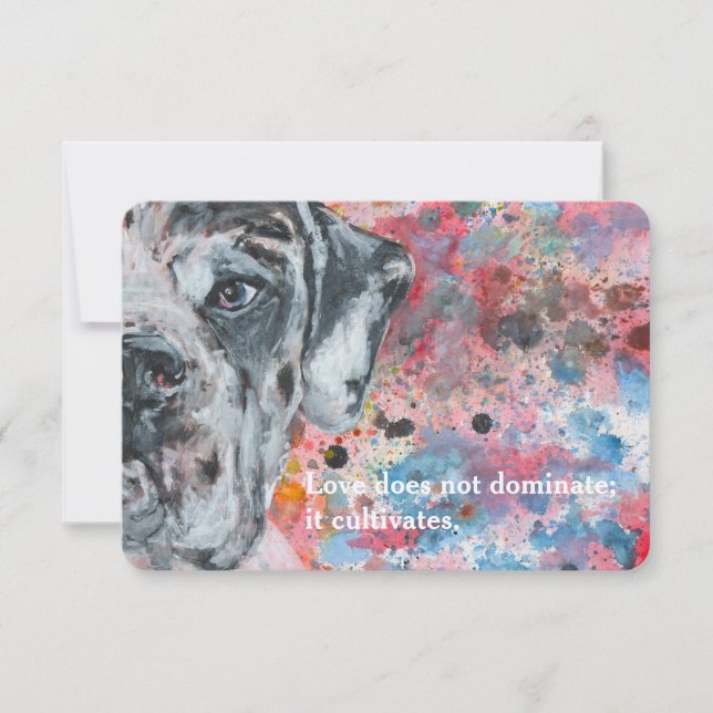Invitación Colorful Mr. Dane (Anverso)