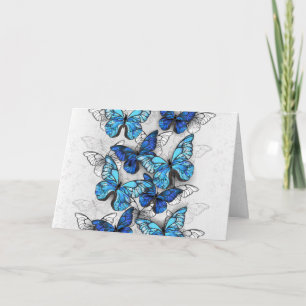 Invitación Composición de las mariposas blancas y azules