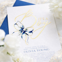 Elegante Arco Azul Marino Baby Shower Moderno para