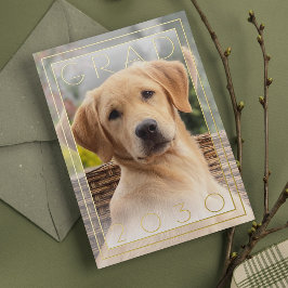 Invitación Con Relieve Metalizado Graduación de Escuela de Cachorros Divertida Perso