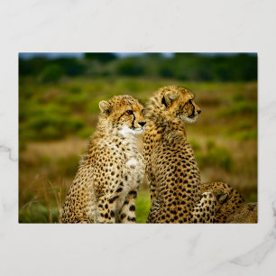 Invitación Con Relieve Metalizado Vida salvaje Cheetah Pair Birthday Gold