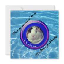 Conejillo de indias fiesta de piscina