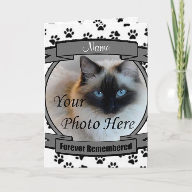 Invitación conmemorativa del gato - Siempre record (Anverso)