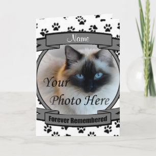 Invitación conmemorativa del gato - Siempre record