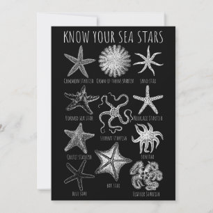 Invitación Conoce tus estrellas del mar - Grupos Starfish