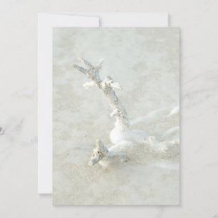 Invitación Coral único en la playa