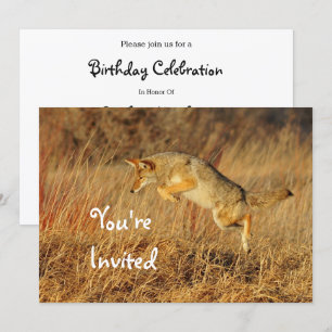 Invitación Coyote Brown Autumn Grass Photo Birday