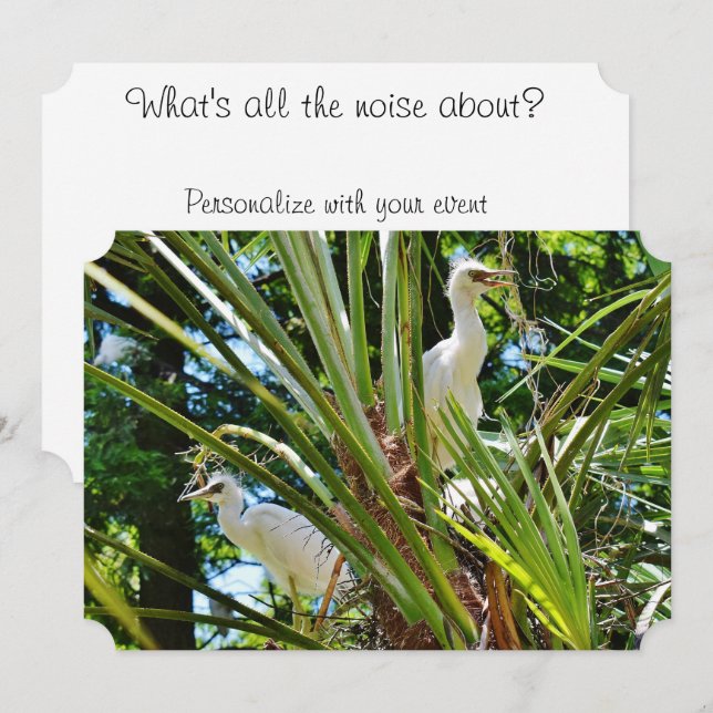 Invitación Crías de aves (Anverso / Reverso)